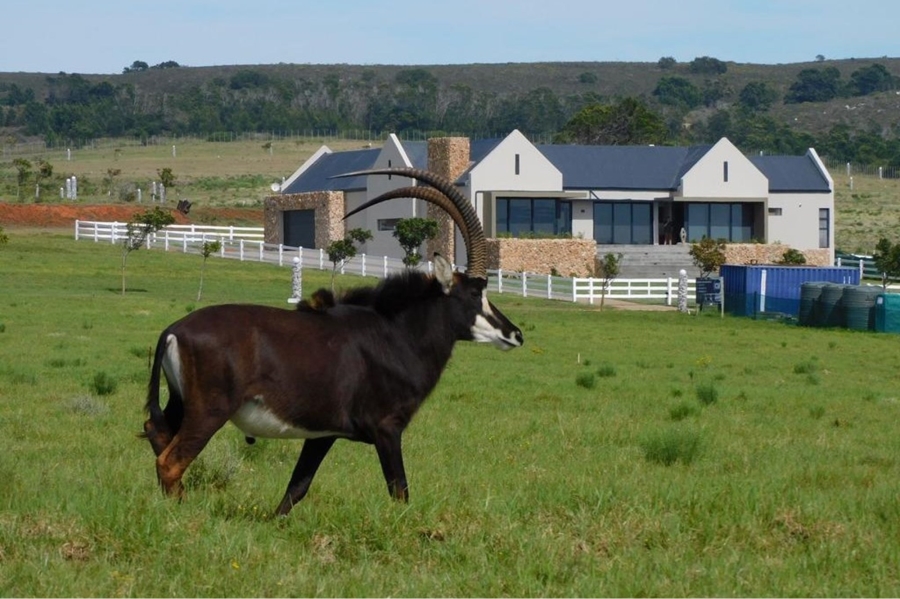 0 Bedroom Property for Sale in Kabeljauws Eastern Cape